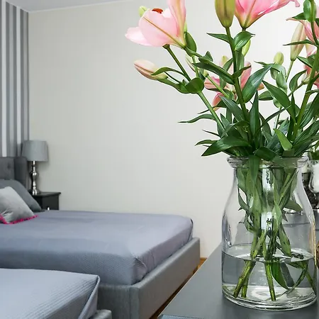 Sodispar Tomasza Old Town Apartment